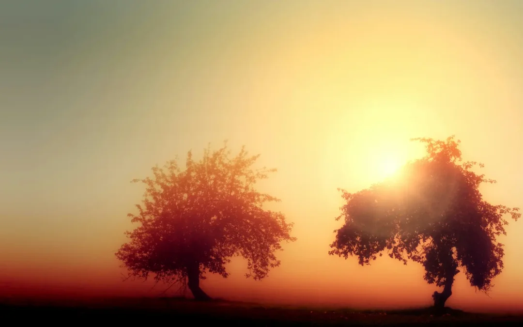 Die Frage ist nicht: Wer ist schuld? – sondern: Was will mir der Burnout zeigen?