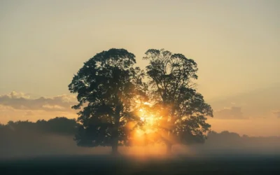 Coaching oder Therapie? – Mein Weg aus Stress und Burnout