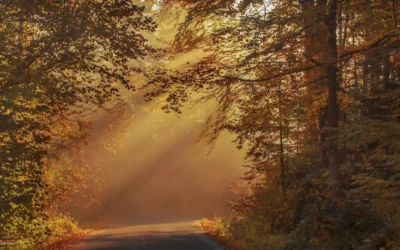 Burnout – Die schleichende Gefahr: Erkennen, innehalten, neu entscheiden