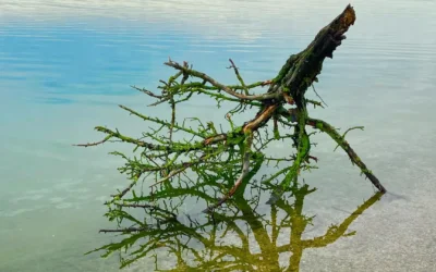 Burnout – Krankheit, Mode oder Spiegel unserer Zeit?