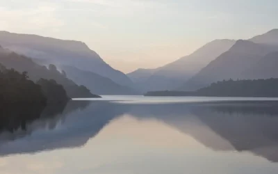 Mediendiät gegen Burnout – warum weniger Nachrichten mehr Lebensenergie schenken