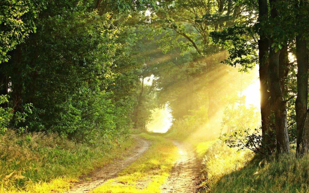 4 Gründe, warum es mit der Veränderung nicht klappt – und wie du sie meistern kannst