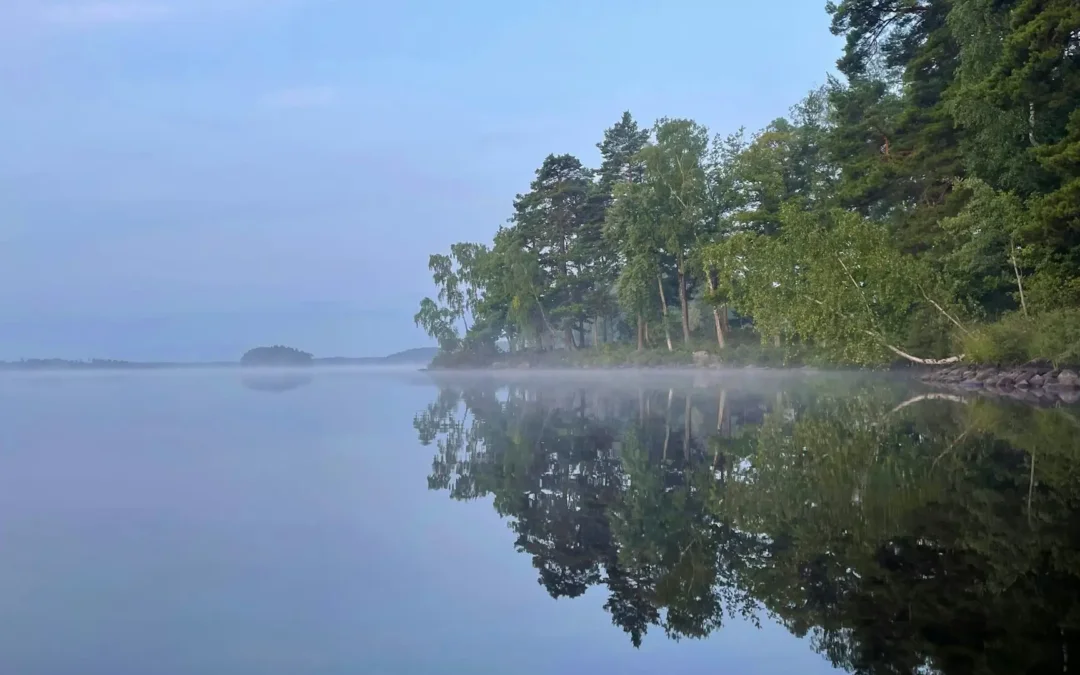 Meditation – Wissenschaftlich fundiert und alltagstauglich: 10 Gründe, jetzt zu beginnen