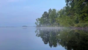 Bewaldetes Seeufer mit Spiegelung
