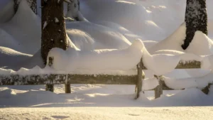 Verschneite Bank im Wals