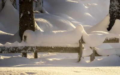 Weihnachtsstress vermeiden – wie du die Feiertage entspannt und mit Liebe gestaltest