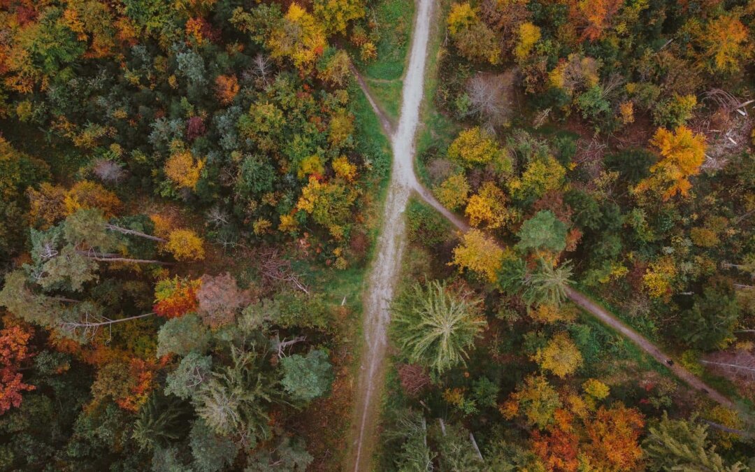 Einen planlosen Tag retten – 3 Tipps für neue Energie und Klarheit