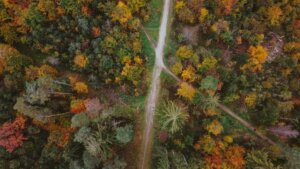 Walweg von oben imHerbst