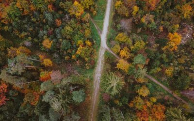 Einen planlosen Tag retten – 3 Tipps für neue Energie und Klarheit