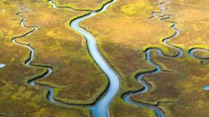 Verzweigter Flusslauf von oben