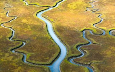 Work-Life-Balance, Work-Life-Integration oder Work-Life-Blending?