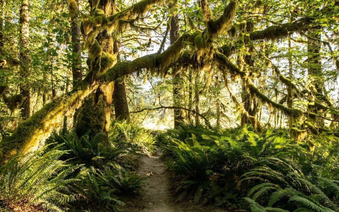 New Work und VUCA: Orientierung im Dschungel der modernen Arbeitswelt