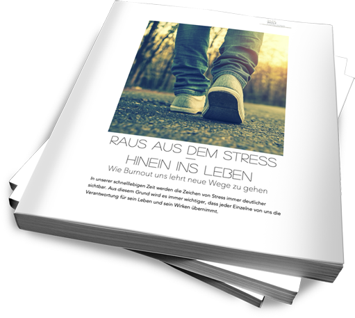 paperbackstack_511x457 (2) E-Book Burnout