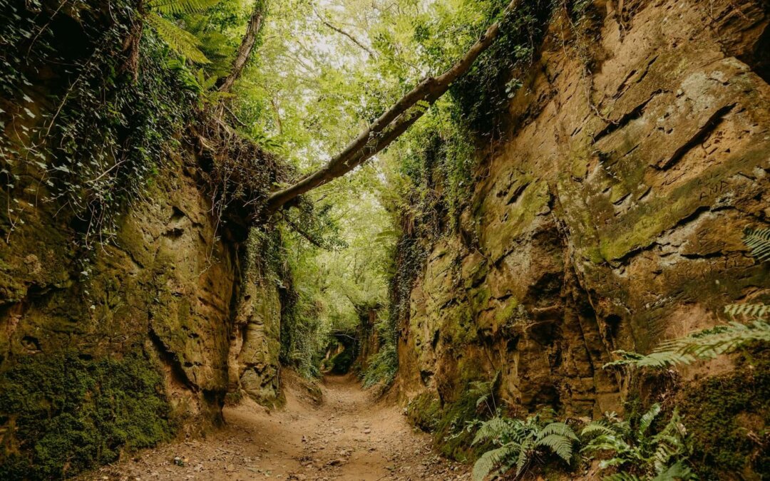 Einfach öfter Nein sagen – wie du gesunde Grenzen setzt