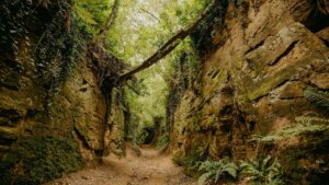 Enger Feldweg zwischen Erdwällen