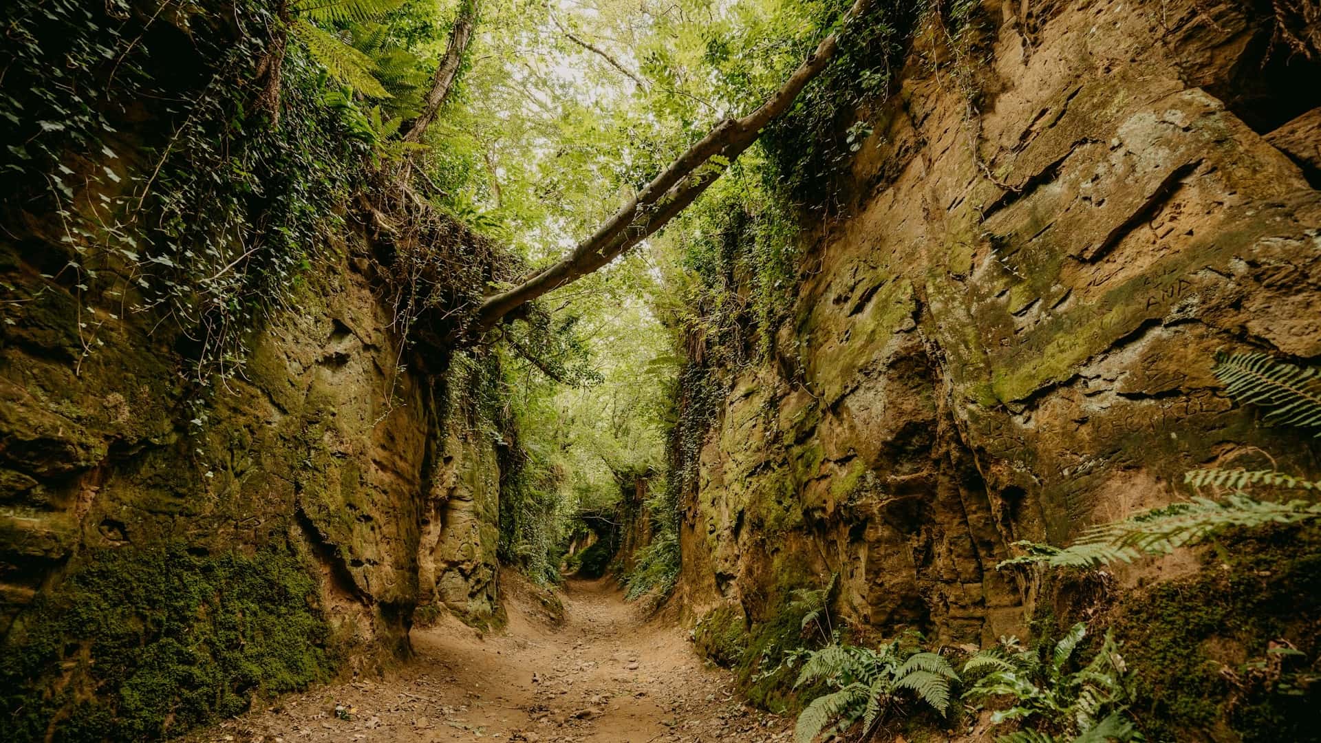 Blog 30-Einfach öfter Nein sagen – wie du gesunde Grenzen setzt -WEb Enger Feldweg zwischen Erdwällen