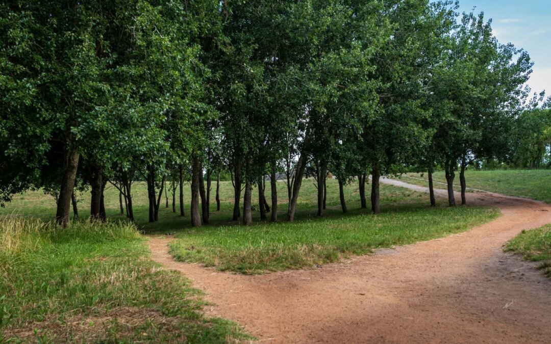 Empathie oder Kontrolle – Herausforderung Homeoffice