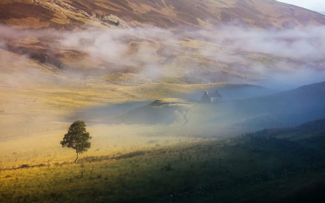 Resilienz im Homeoffice: Warum Tag für Tag leben Stress reduziert