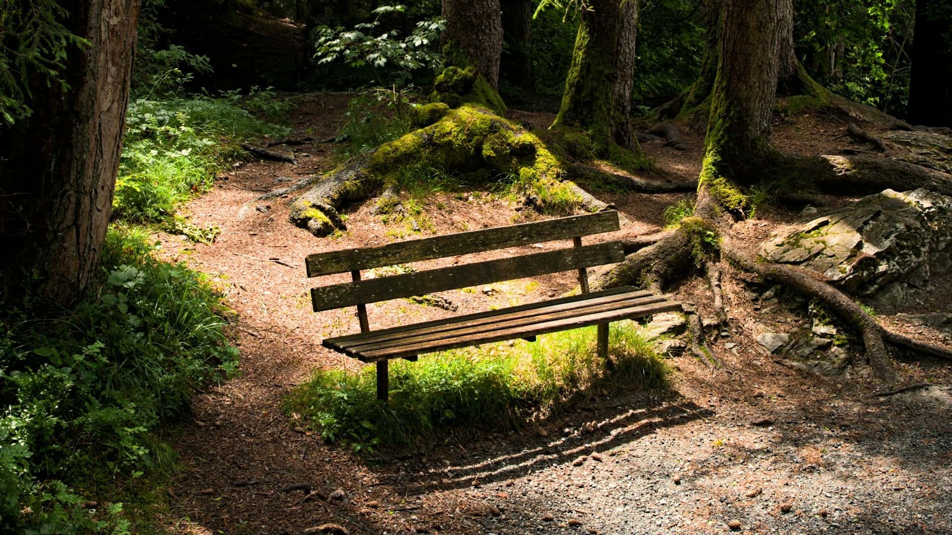 Blog 35_Resilienz im Homeoffice-Warum Selbstfürsorge kein Luxus ist-WEb Bank im Wald