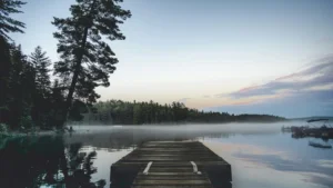 Stiller See im Morgennebel