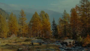 Bank auf einer Alm im Herbst