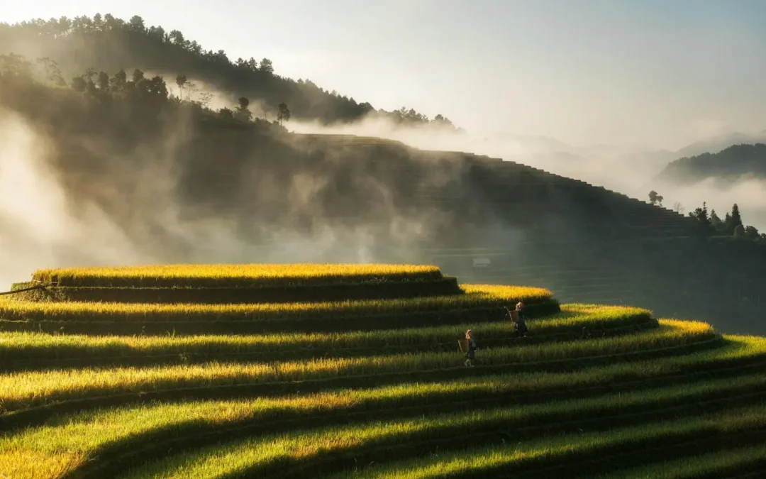Selbstführung und Resilienz: 6 Bausteine für gelungene Führung
