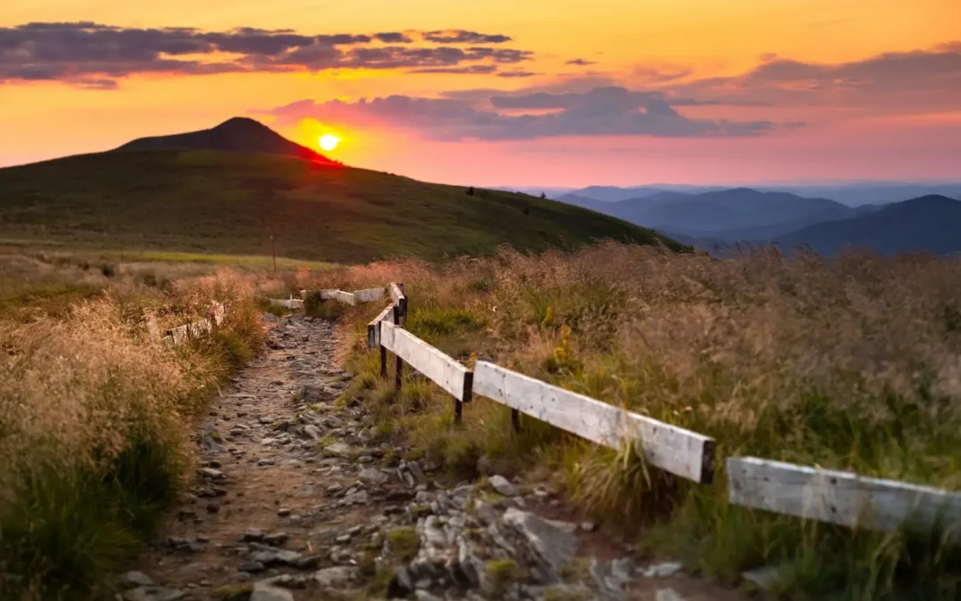 Interview mit Isa Hiemann: Mit Resilienz die neue Arbeitswelt meistern