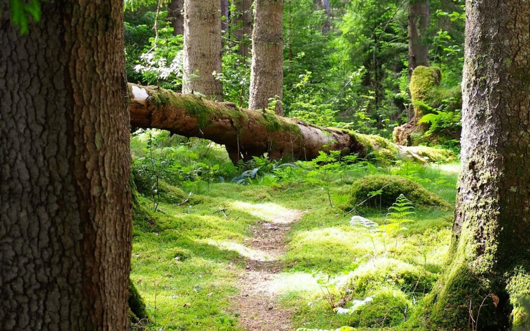 Innere Antreiber: So erkennst und löst du Stressmuster