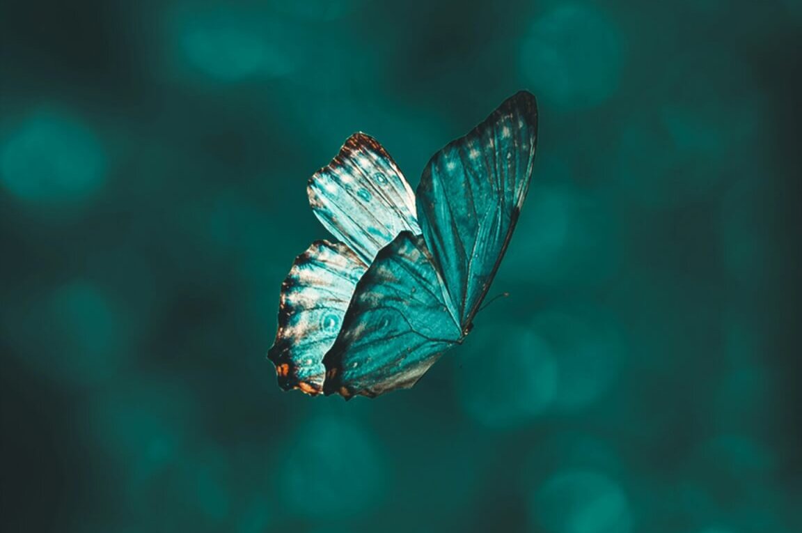 Transformation Bringe dein Licht in die Welt