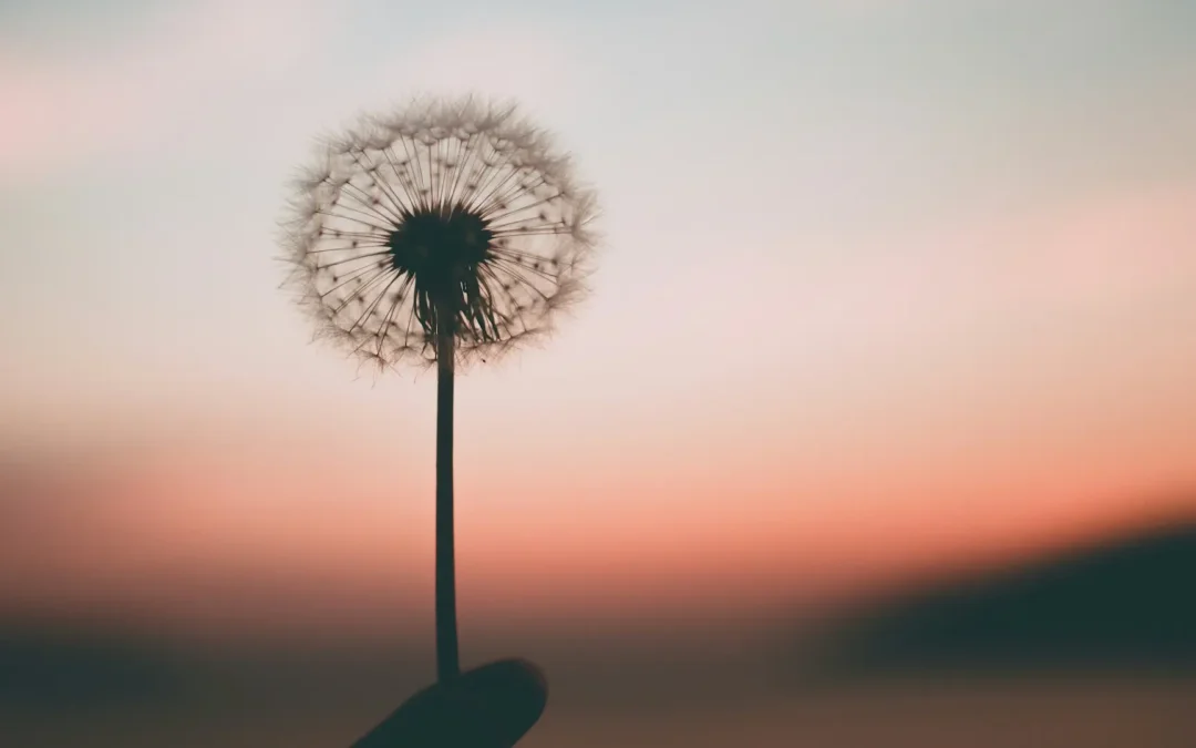 Resilienz in Zeiten von Corona – 7 Säulen für innere Stärke